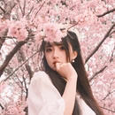 南京旅游 缩略图 4