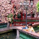 广州旅游 缩略图 6