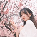 南京旅游 缩略图 10