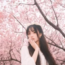 南京旅游 缩略图 5