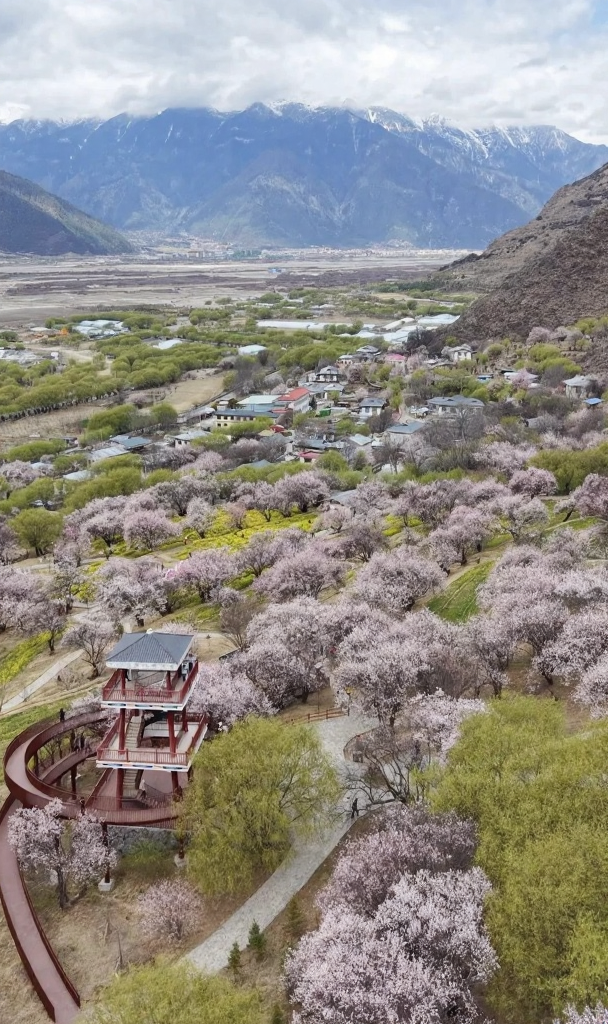 林芝旅游