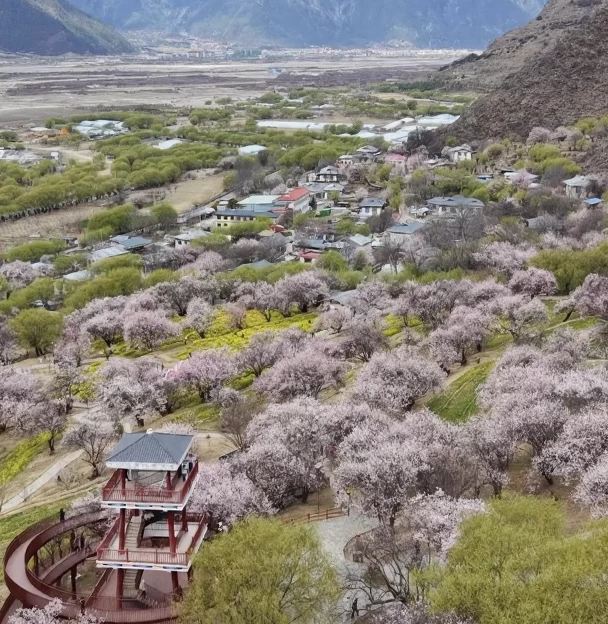 林芝旅游 1