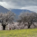 林芝旅游 缩略图 7