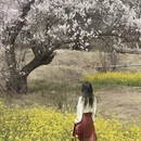 林芝旅游 缩略图 9