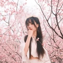 南京旅游 缩略图 7