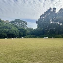 广州旅游 缩略图 5