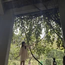 广州旅游 缩略图 13