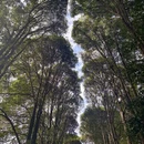 广州旅游 缩略图 12
