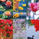 广州旅游 缩略图 1