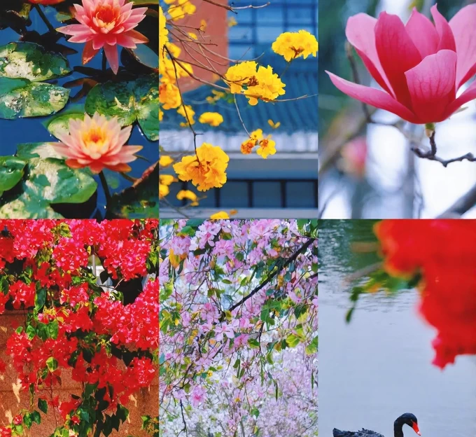 广州旅游 1