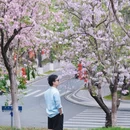 广州旅游 缩略图 2