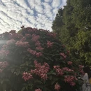 广州旅游 缩略图 14