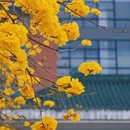 广州旅游 缩略图 5