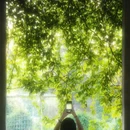 广州旅游 缩略图 1