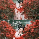 广州旅游 缩略图 7