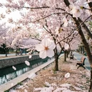 石家庄旅游 缩略图 1