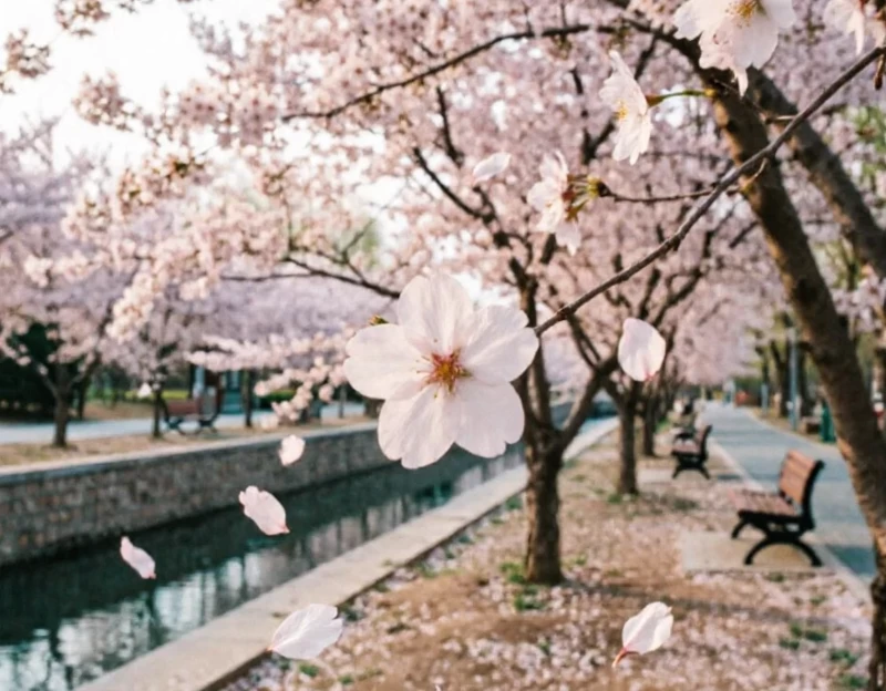 石家庄旅游 1