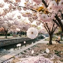 石家庄旅游 缩略图 2