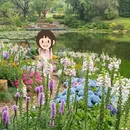 广州旅游 缩略图 7