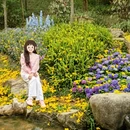 广州旅游 缩略图 10
