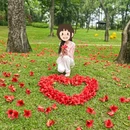 广州旅游 缩略图 8