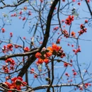 广州旅游 缩略图 9