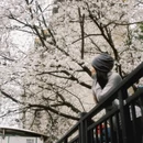 郴州旅游 缩略图 4