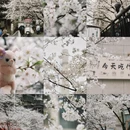 郴州旅游 缩略图 1