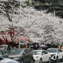 郴州旅游 缩略图 8