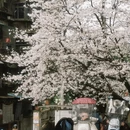 郴州旅游 缩略图 2