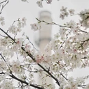 郴州旅游 缩略图 6
