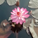 广州旅游 缩略图 2