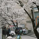 郴州旅游 缩略图 10