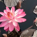 广州旅游 缩略图 3