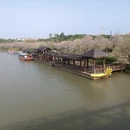 广州旅游 缩略图 15
