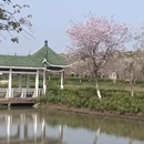 广州旅游 缩略图 16