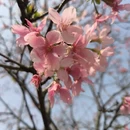广州旅游 缩略图 18