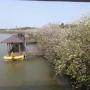 广州旅游 缩略图 14