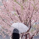 长沙旅游 缩略图 1