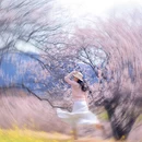 林芝旅游 缩略图 9