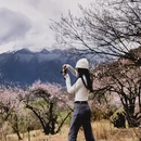 林芝旅游 缩略图 6