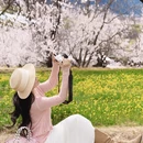 林芝旅游 缩略图 10