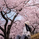 林芝旅游 缩略图 1