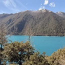 林芝旅游 缩略图 7