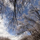 林芝旅游 缩略图 6