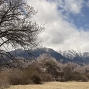 林芝旅游 缩略图 5
