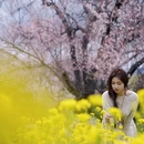 林芝旅游 缩略图 6