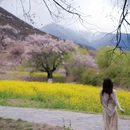 林芝旅游 缩略图 5