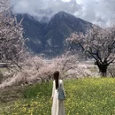 林芝旅游 缩略图 6