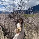 林芝旅游 缩略图 9
